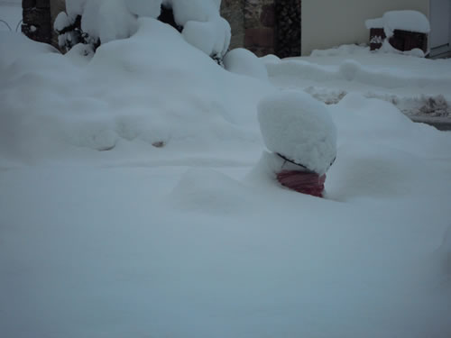 DSCN6951.jpg